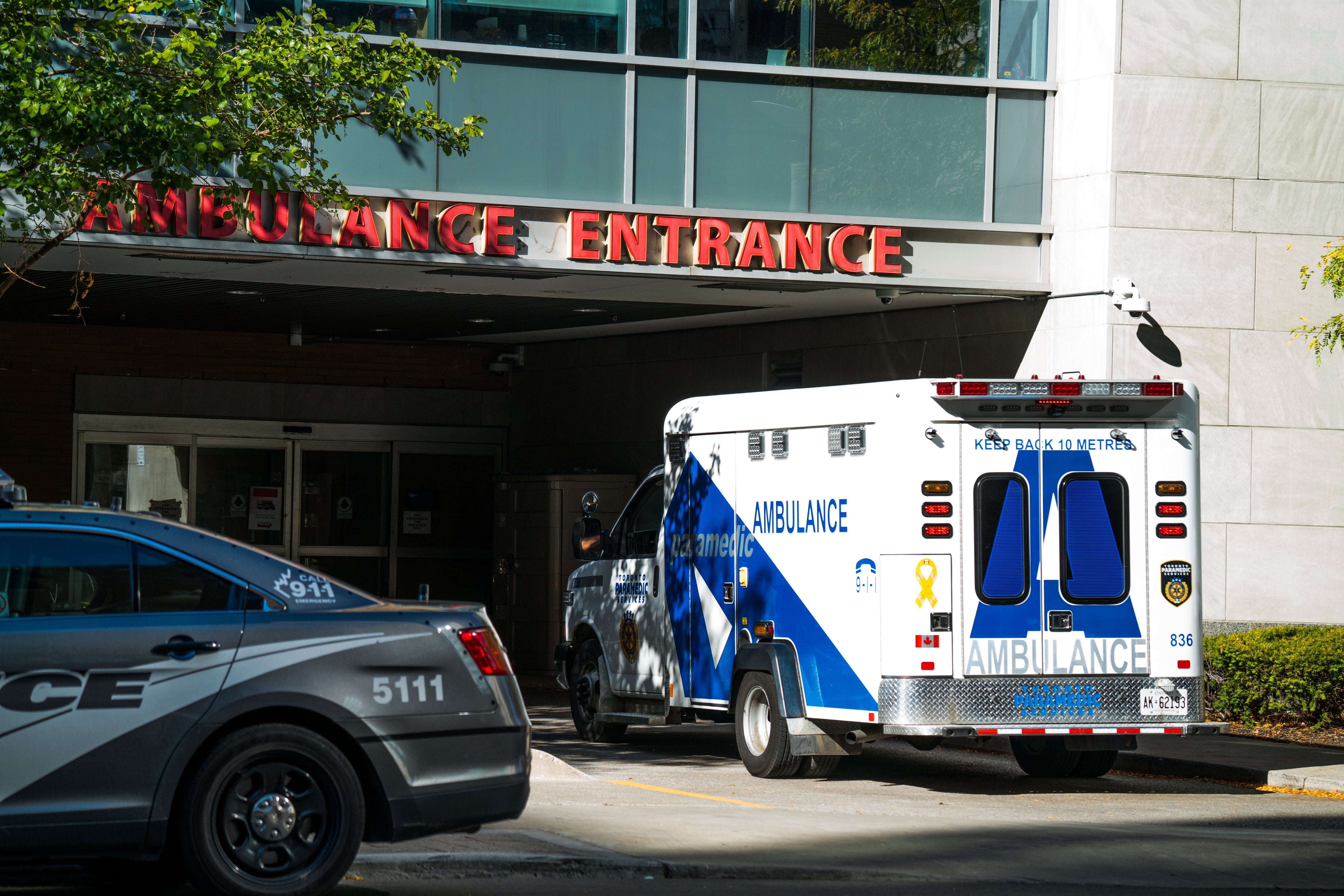 Expand Minnesota Care